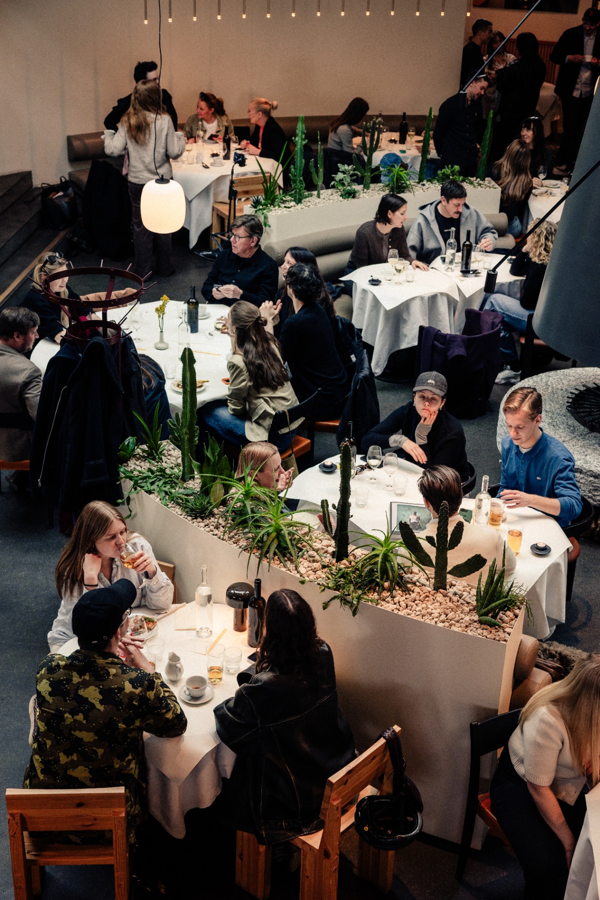 Overhead view of the dining room at Solen during the Amuse and TEN Music Group lunch, white-clothed tables full of guests in conversation around a long curved planter of cacti and succulents.